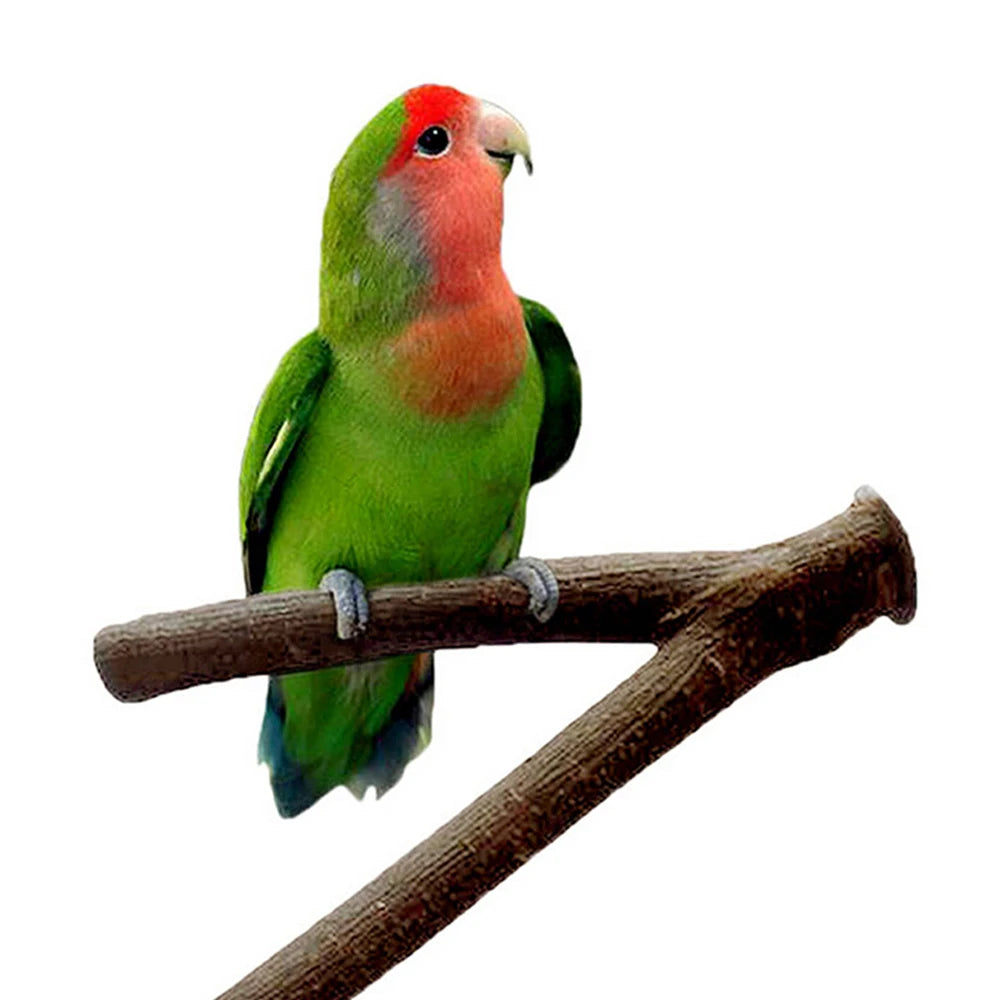 H0d1dff794553425c9f6c41048144202bT