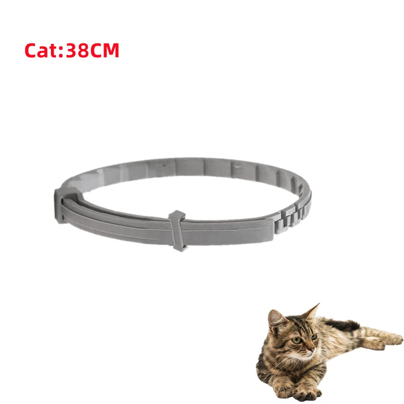 Sdab039cfde494b23b1779ca6c551e386h