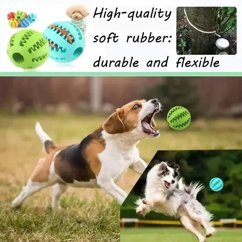 Seb09aa9a574d45e98f0e0e35457fb27cJ